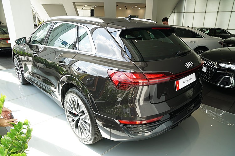 Audi Q8 e-tron tu 3,8 ty tai Viet Nam, re hon Mercedes EQE SUV-Hinh-3