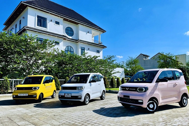 TMT Motors bao lo ky luc sau 1 nam ban oto dien Wuling Mini EV-Hinh-3