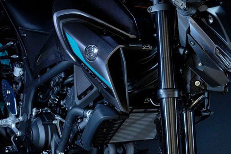 Yamaha MT-25 2025 - 