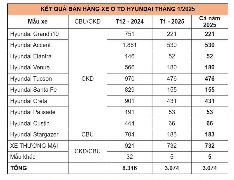 Hon 3.000 xe Hyundai den tay khach Viet trong thang 1/2025-Hinh-2