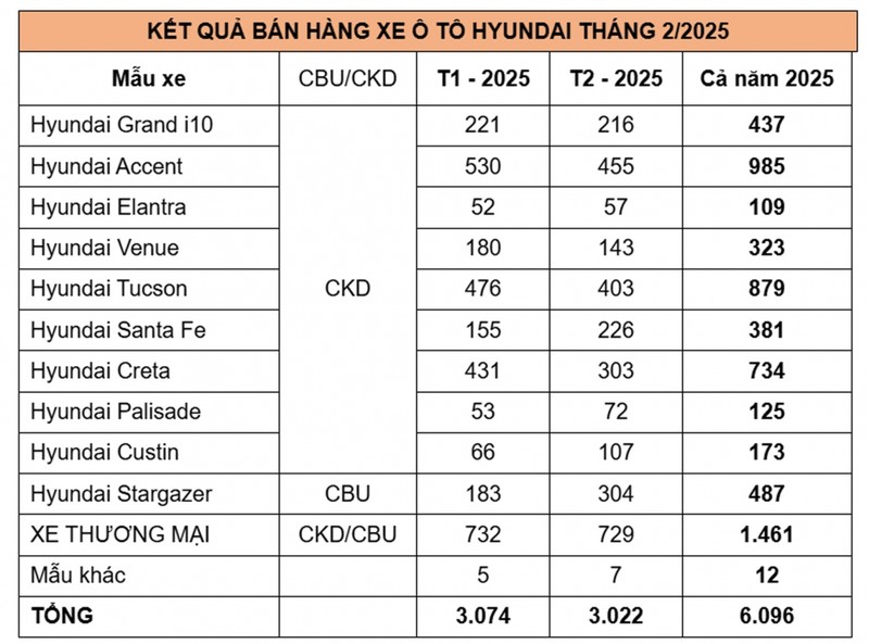 Hon 3.000 oto Hyundai den tay khach Viet trong thang 2/2025-Hinh-2