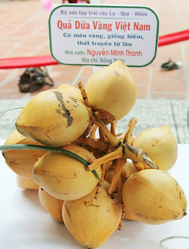 Le hoi trai cay Nam bo noi quy tu nhung loai trai cay khung-Hinh-7