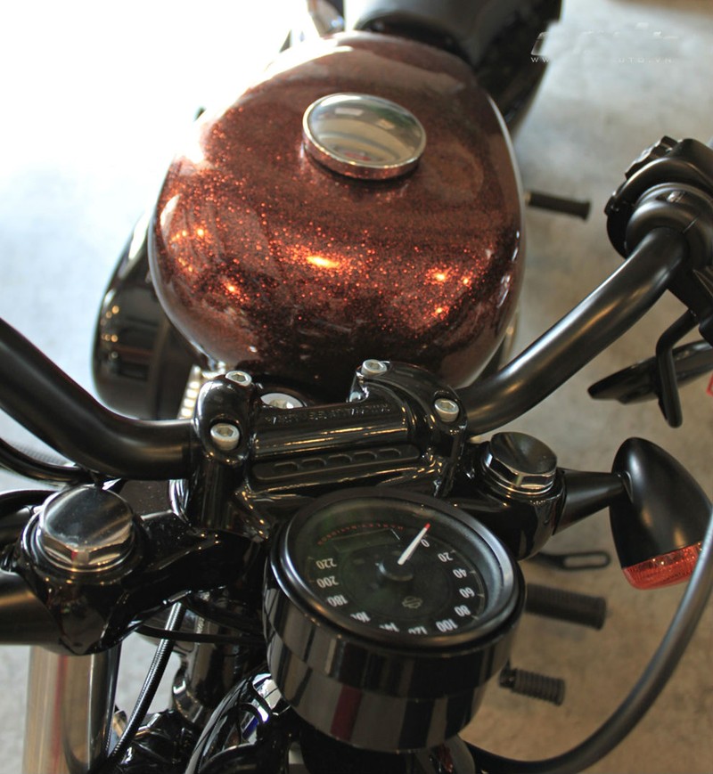 Hinh anh Harley Davidson XL 1200X Forty-Eigth anh kim tuyen-Hinh-4
