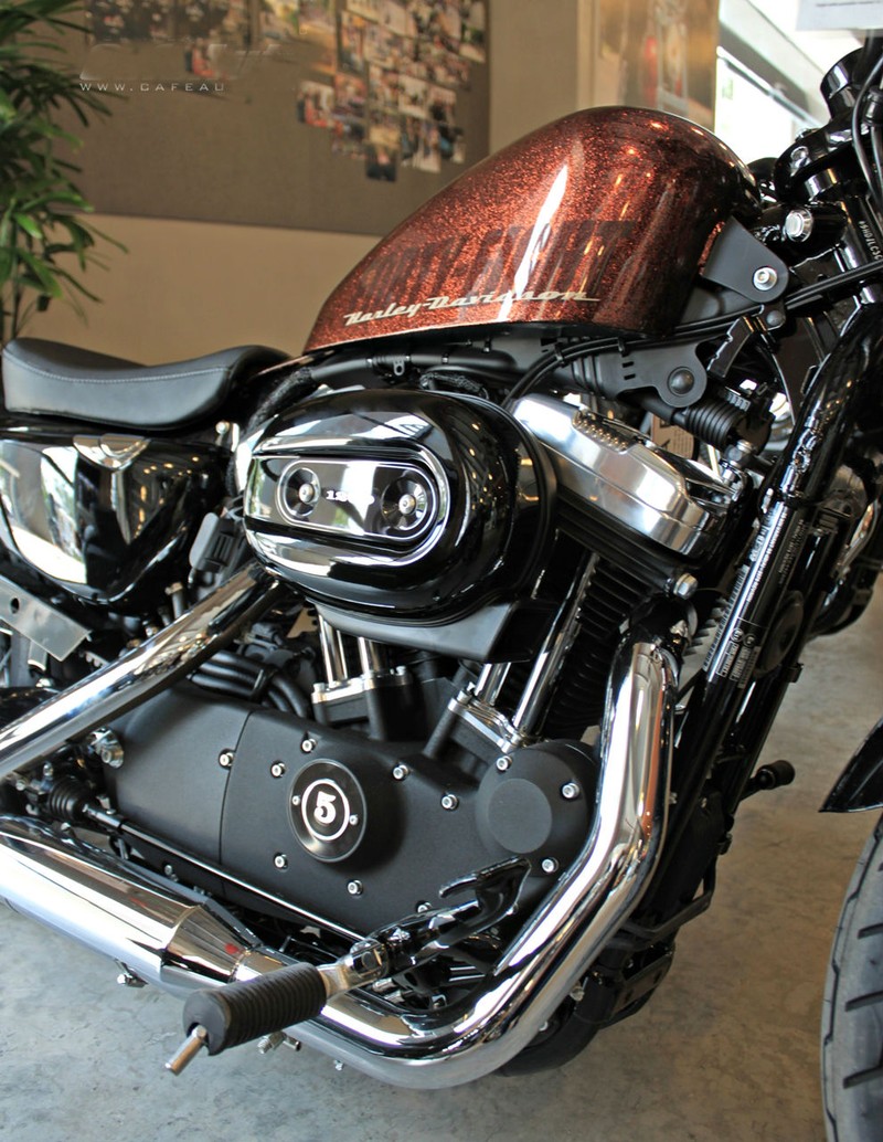 Hinh anh Harley Davidson XL 1200X Forty-Eigth anh kim tuyen-Hinh-5