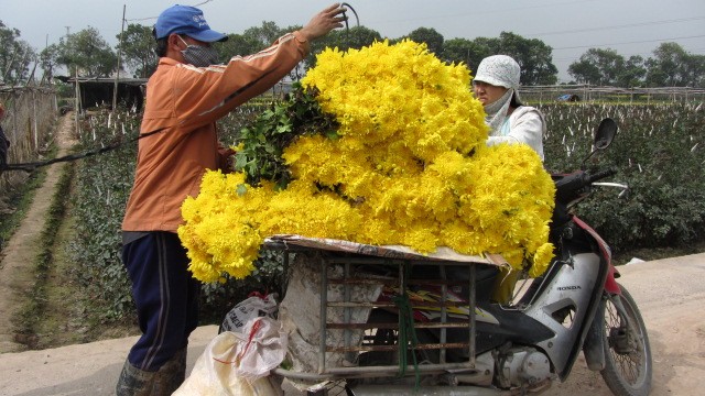 Lang hoa Tay Tuu ruc ro nhung ngay can Tet-Hinh-4