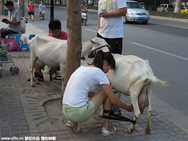 Cap doi tre vat sua tuoi ban ngay giua duong gay sot