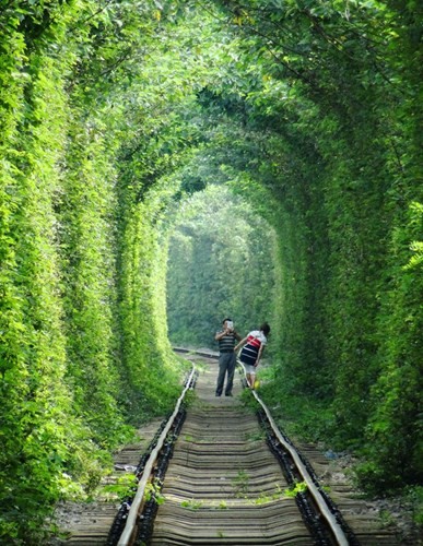 Gai tre doi dau tau... tu suong tren duong ham tinh yeu-Hinh-3