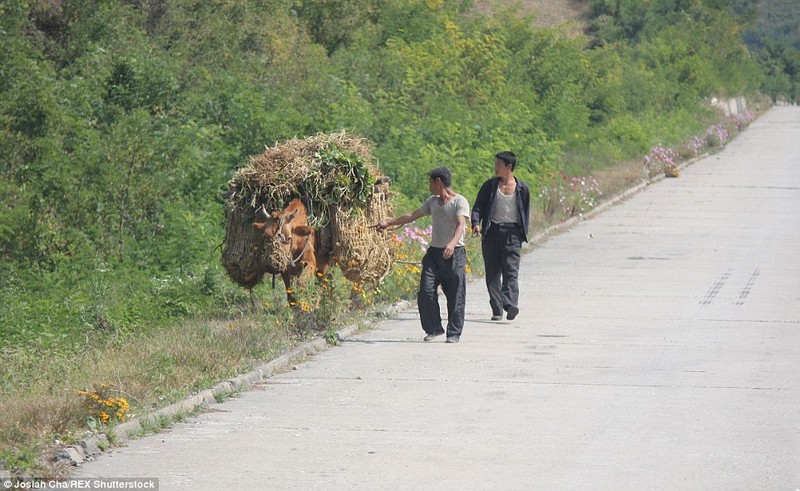 Anh hiem chup trong phong mo o Trieu Tien-Hinh-9