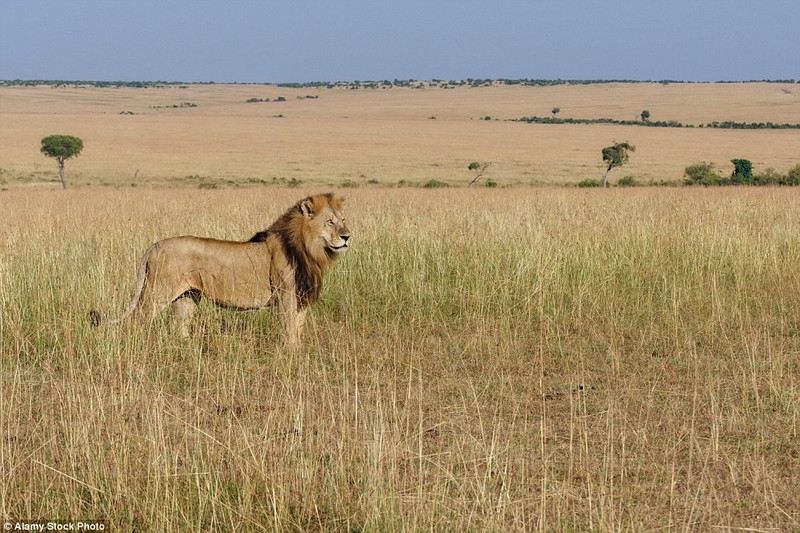 Su tu khon kho vi lu lut o Kenya-Hinh-2