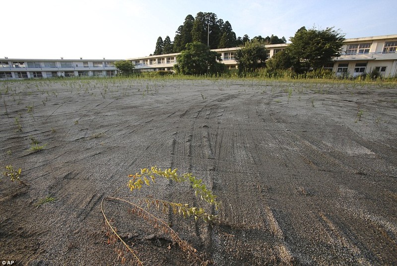 Hinh anh Fukushima hoang tan sau tham hoa hat nhan-Hinh-7