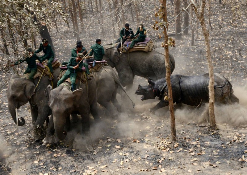 Te giac dien cuong tan cong nhan vien bao ve dong vat-Hinh-5