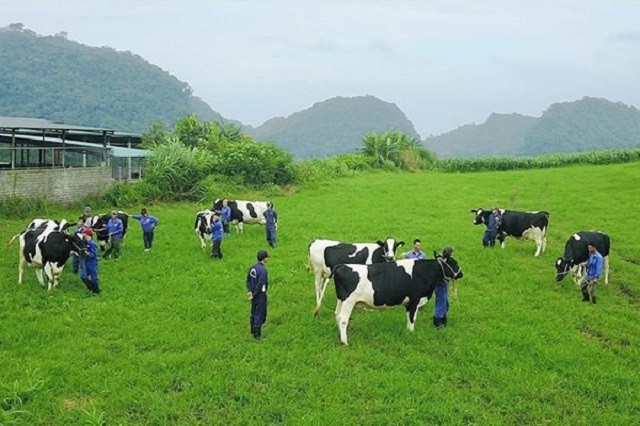 Lam Nghiep Sai Gon thoai von tai GTNFoods, thu ve 28 ty dong