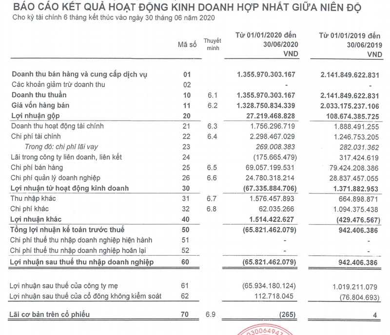 Petec lo 66 ty dong ban nien 2020, kiem toan vien dua ra y kien ngoai tru