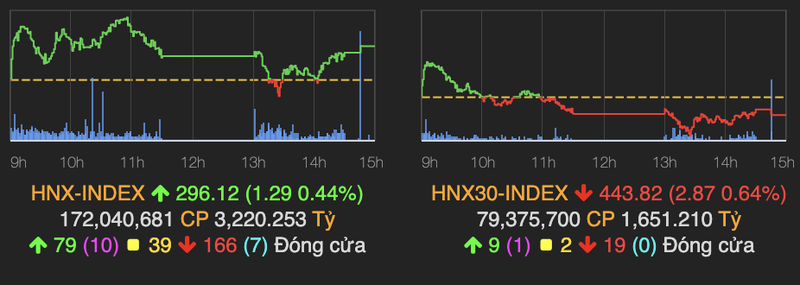 Co phieu thep xanh, VN-Index bi day xuong moc 1.250 diem-Hinh-2