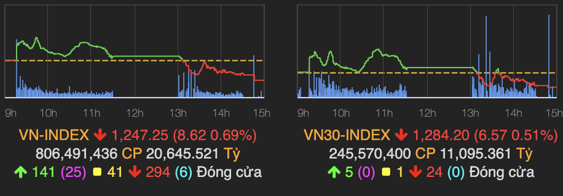 Co phieu thep xanh, VN-Index bi day xuong moc 1.250 diem