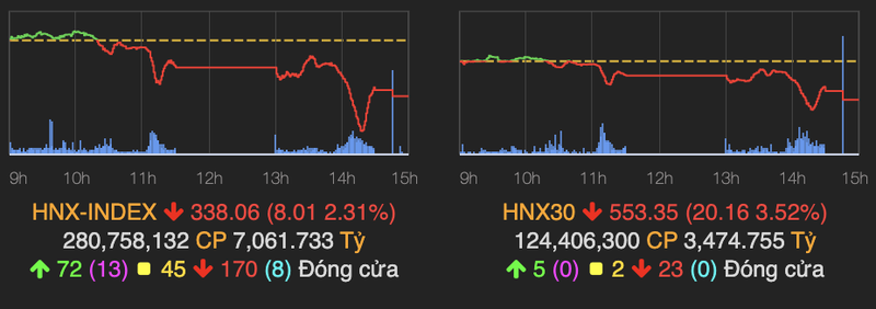 Thanh khoan ky luc gan 2 ty USD, VN-Index lao doc 45 diem phien 20/8-Hinh-2