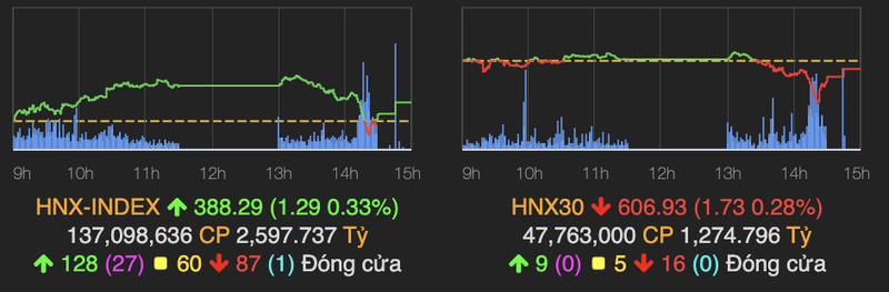 VN-Index loi nguoc dong, giam nhe hon 1 diem ve cuoi phien-Hinh-2