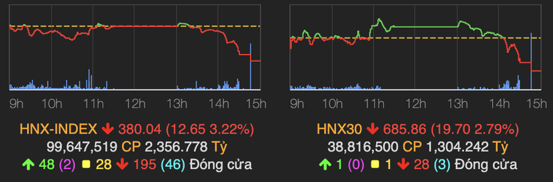 Sac do va xanh lo bao phu toan thi truong, VN-Index xuong moc 1.384 diem-Hinh-2