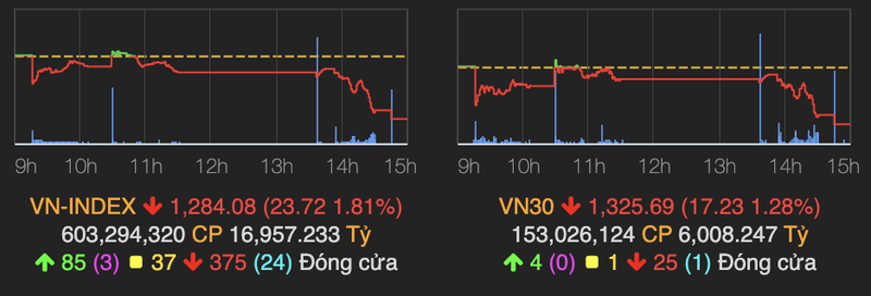 Thi truong bat ngo bi ban thao, VN-Index mat gan 24 diem phien 10/6