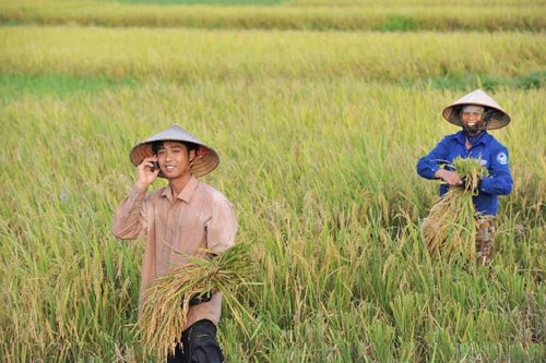 Anh hai huoc ve cuoc song o nong thon thoi cong nghe-Hinh-10