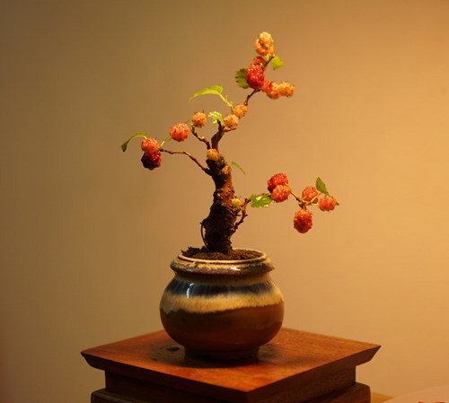 Me man loat bonsai dau tam dep hut mat-Hinh-3