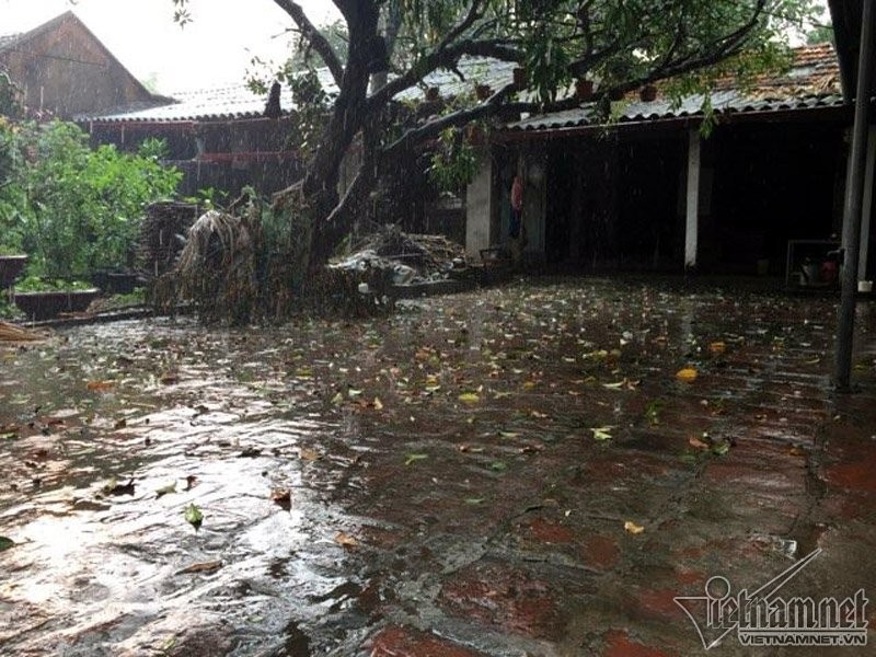 Mua da bat ngo ap xuong ngoai thanh Ha Noi-Hinh-5