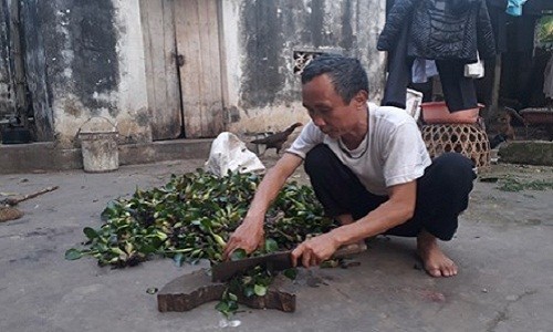 Ngay 25/4, “tu tu” Han Duc Long duoc cong khai xin loi