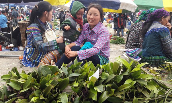 Ngam khu ban hoa lan doc dao o cho phien Bac Ha-Hinh-6