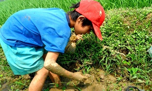 Nhoc nhan nghe bat cua dong giua troi nang-Hinh-5