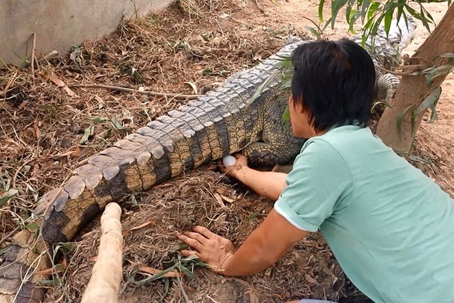 Hinh anh rung ron kho tin trong trang trai nuoi ca sau-Hinh-6