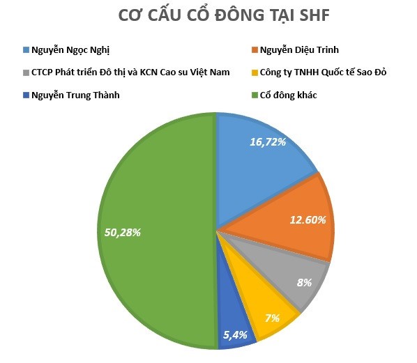 Lo hang chuc ty dong, bau Hien ban toan bo von tai SHF-Hinh-2