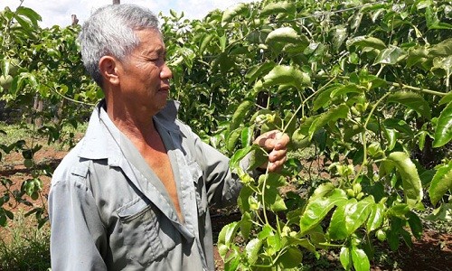 Tang tan luong tam: Lua nong dan trong chanh day dom roi bien mat