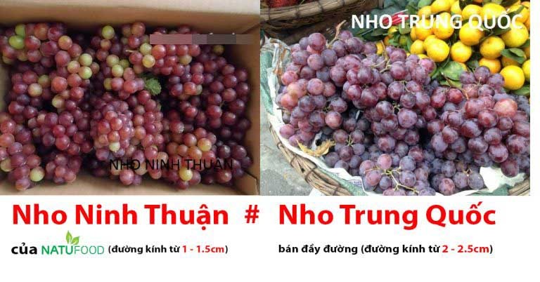 Diem danh cac loai nho Trung Quoc ban tran lan o Viet Nam-Hinh-6