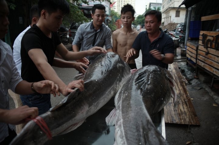 Nhung cap thuy quai tram trieu hut hon nha giau Viet-Hinh-2