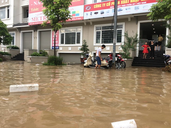 Cu dan biet thu trieu do lai "cheo thuyen" sau mua-Hinh-2