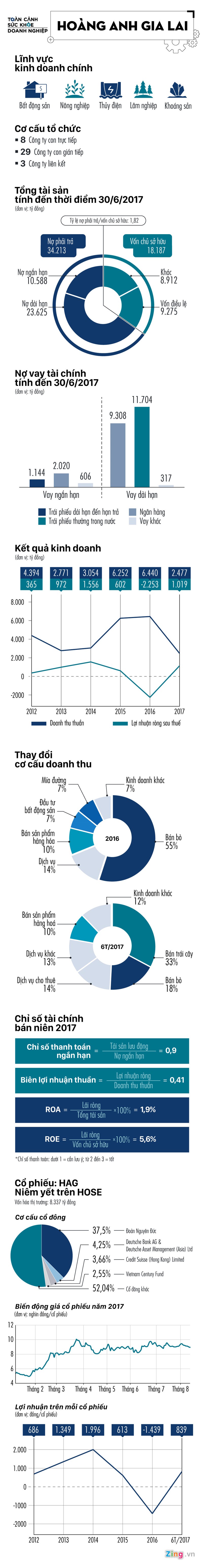 Hoang Anh Gia Lai va cu chuyen minh di ban trai cay cua bau Duc