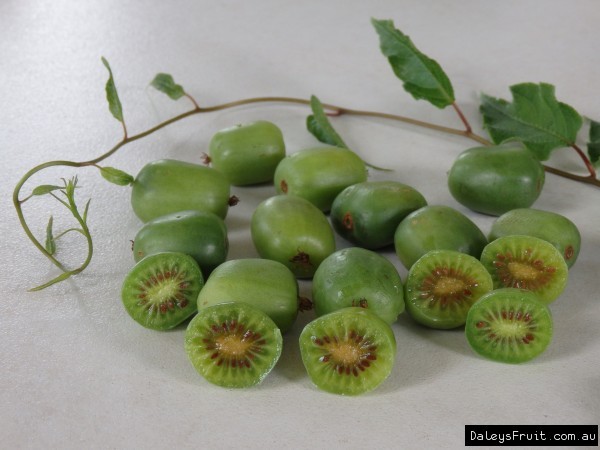 Kiwi ti hon gia chat 1 trieu dong/kg khien chi em &quot;phat cuong&quot;-Hinh-6