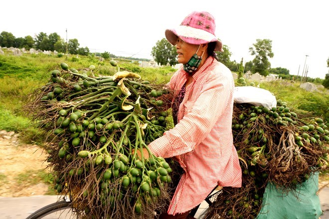 Nhung lan gom mua cau non ky la cua thuong lai Trung Quoc-Hinh-10