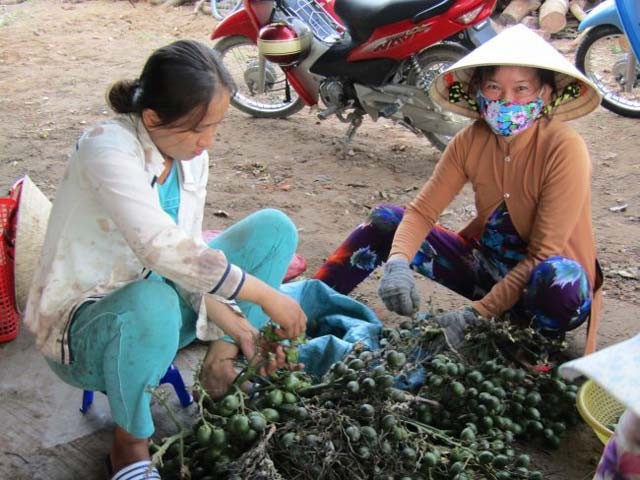 Nhung lan gom mua cau non ky la cua thuong lai Trung Quoc-Hinh-5