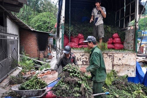 Nhung lan gom mua cau non ky la cua thuong lai Trung Quoc-Hinh-6