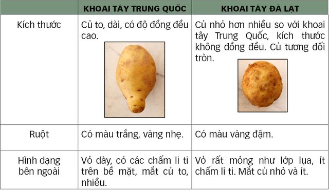 Tham nhap “xuong” lam gia khoai tay Trung Quoc thanh Da Lat-Hinh-3