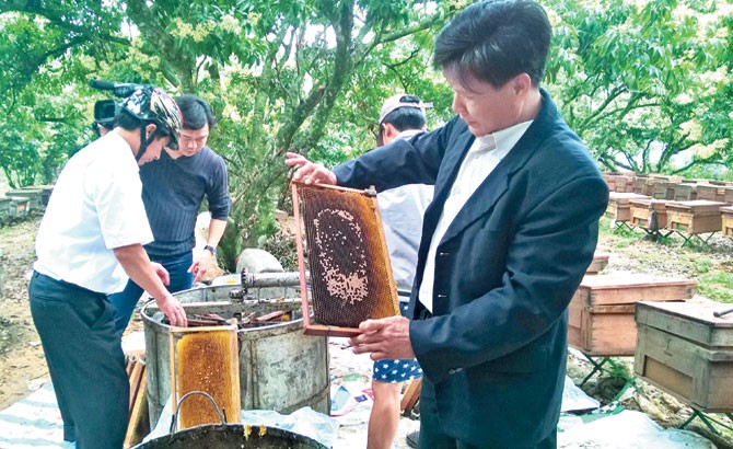 Mua mat ong thang 3 “hai ra tien” o Bac Giang-Hinh-11