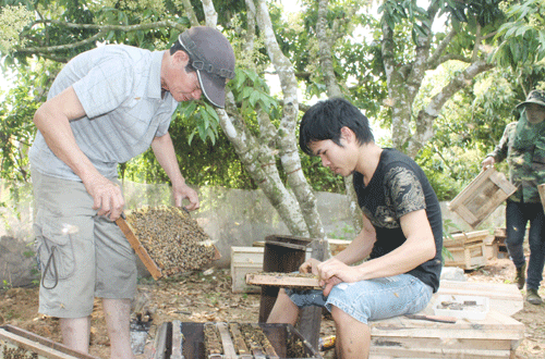 Mua mat ong thang 3 “hai ra tien” o Bac Giang-Hinh-3