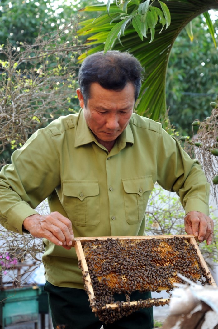 Mua mat ong thang 3 “hai ra tien” o Bac Giang-Hinh-6