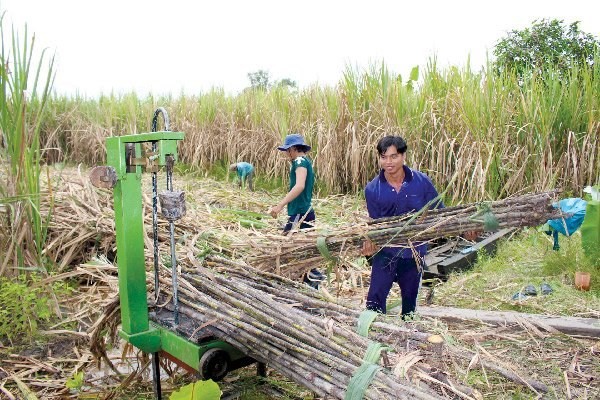 Can canh duong long TQ do bo khien duong noi “lao dao“-Hinh-2