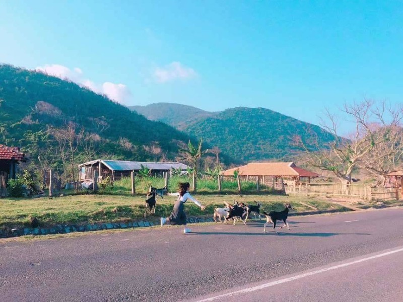 Dung ngoi khong yen voi trang trai “song ao” nhat Phu Yen-Hinh-2