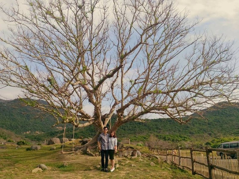 Dung ngoi khong yen voi trang trai “song ao” nhat Phu Yen-Hinh-4