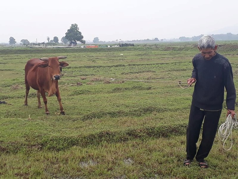 Vu thu phi trau bo o Thanh Hoa: Se xin loi dan va tra lai tien-Hinh-2