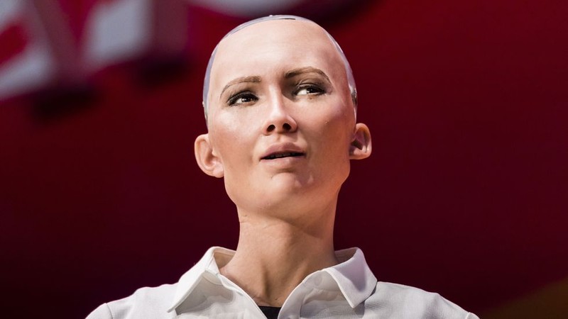 “Bat mi” robot Sophia, robot cong dan dau tien dang co mat tai Viet Nam-Hinh-3