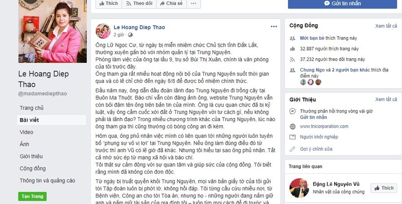 Nhung lan ba Le Hoang Diep Thao phan ung gay gat tren mang xa hoi-Hinh-2